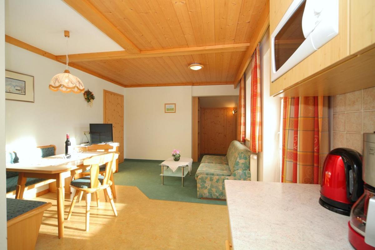 Landhaus Steiner Schladming Extérieur photo