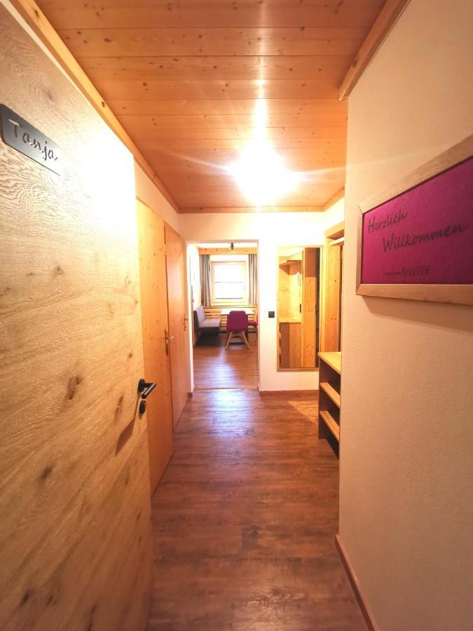 Landhaus Steiner Schladming Extérieur photo