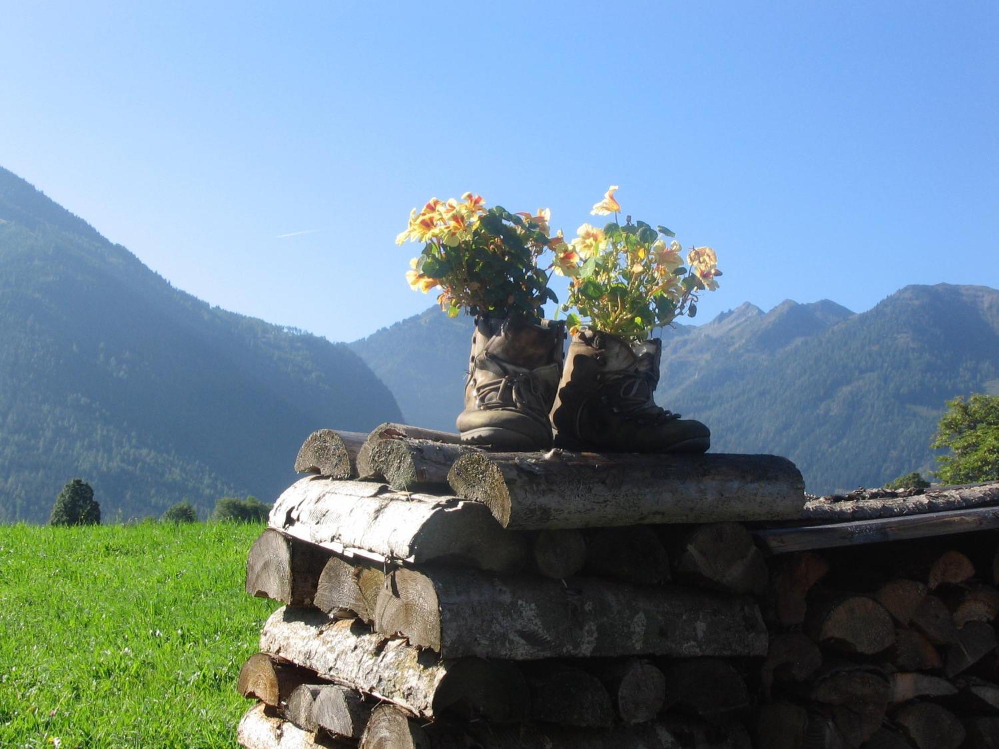 Landhaus Steiner Schladming Extérieur photo