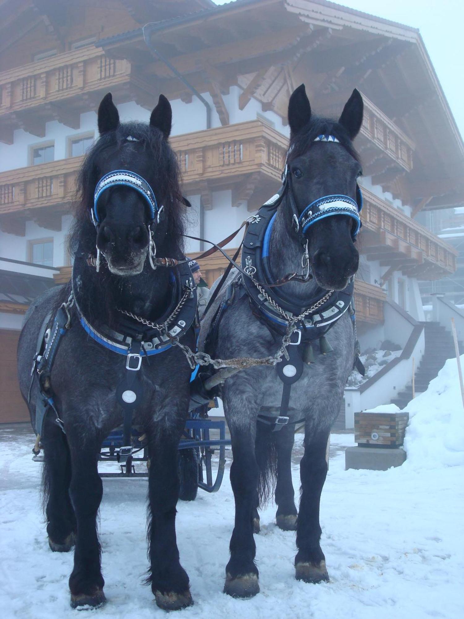 Landhaus Steiner Schladming Extérieur photo