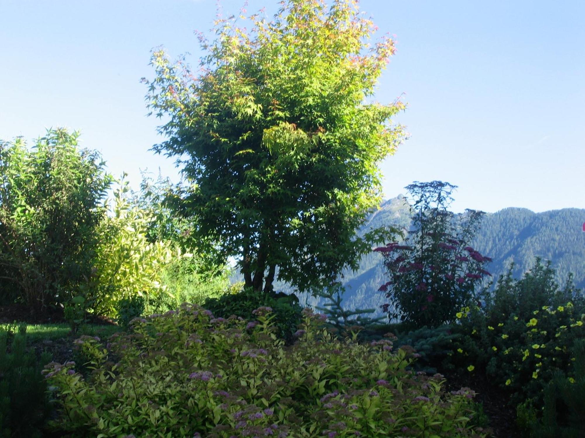 Landhaus Steiner Schladming Extérieur photo